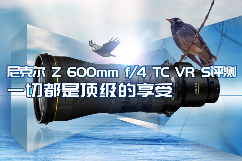 一切都是頂級的享受 尼克爾 Z 600mm f/4 TC VR S評測